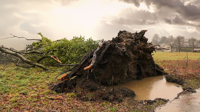 Rain, mud, spring rain