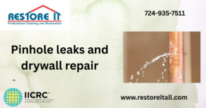 Pinhole Leaks in Copper Lines and how to deal with Drywall Repair